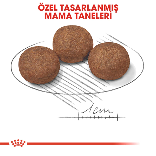 ROYAL CANİN MEDIUM PUPPY ORTA IRK YAVRU KÖPEK MAMASI 15 KG - Thumbnail