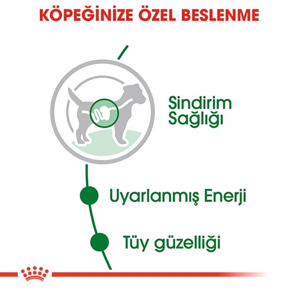 ROYAL CANİN MİNİ ADULT SOSLU KÖPEK KONSERVESİ 85 GR 12'Lİ