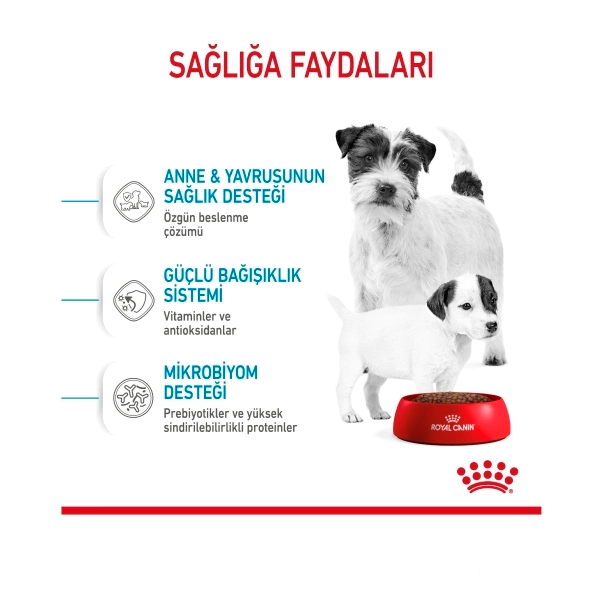 ROYAL CANİN MİNİ STARTER YAVRU KÖPEK MAMASI 4 KG - Thumbnail