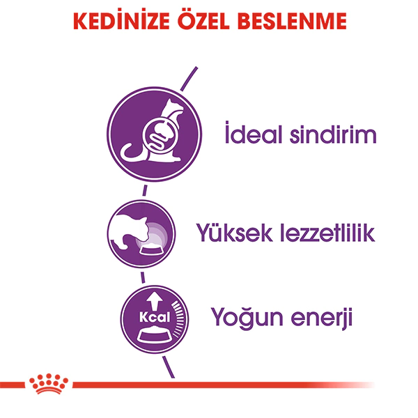 ROYAL CANİN SENSİBLE 33 KURU KEDİ MAMASI 2 KG