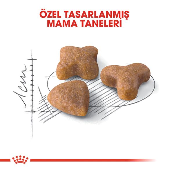 ROYAL CANİN SENSİBLE 33 KURU KEDİ MAMASI 2 KG - Thumbnail