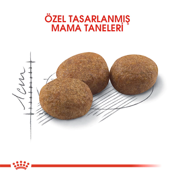 ROYAL CANİN STERİLİSED 37 KISIRLAŞTIRILMIŞ KEDİ MAMASI 2 KG - Thumbnail