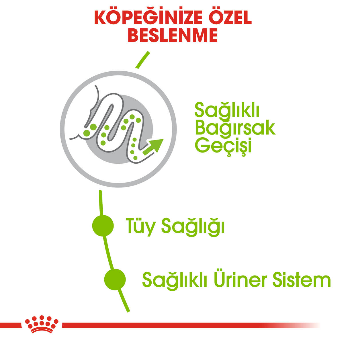 ROYAL CANİN XSMALL ADULT YETİŞKİN KÖPEK MAMASI 1,5 KG
