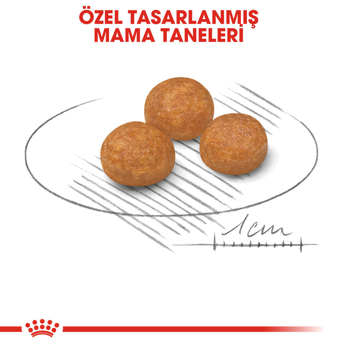ROYAL CANİN XSMALL ADULT YETİŞKİN KÖPEK MAMASI 1,5 KG