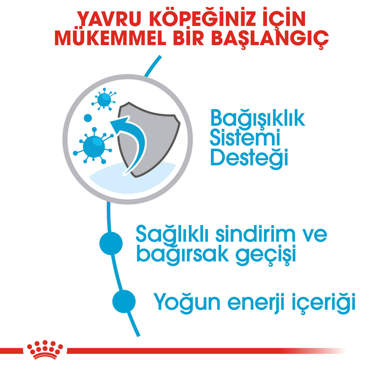 ROYAL CANİN XSMALL YAVRU KÖPEK MAMASI 1,5 KG