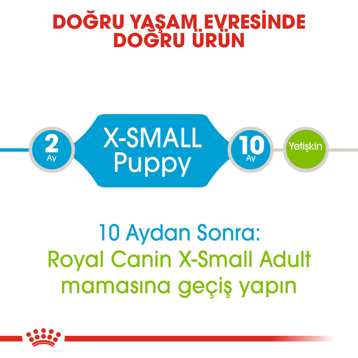 ROYAL CANİN XSMALL YAVRU KÖPEK MAMASI 1,5 KG