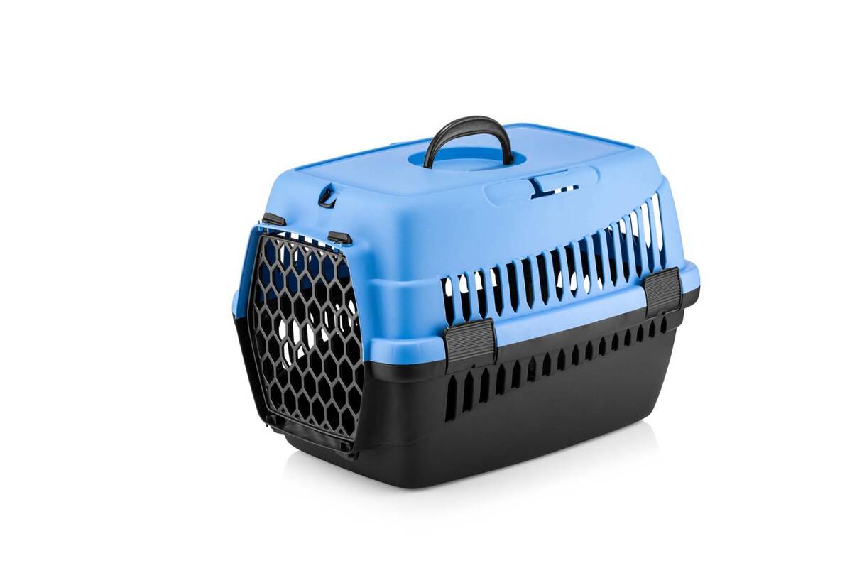 TAŞIMA KABI KÜÇÜK RENKLİ ŞNY 10 LU PAKET 49x35x35.5