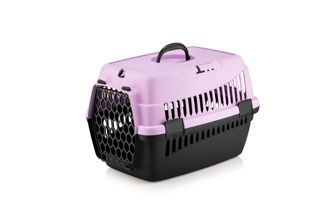 TAŞIMA KABI KÜÇÜK RENKLİ ŞNY 10 LU PAKET 49x35x35.5 - Thumbnail