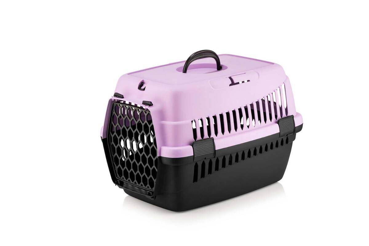 TAŞIMA KABI KÜÇÜK RENKLİ ŞNY 10 LU PAKET 49x35x35.5