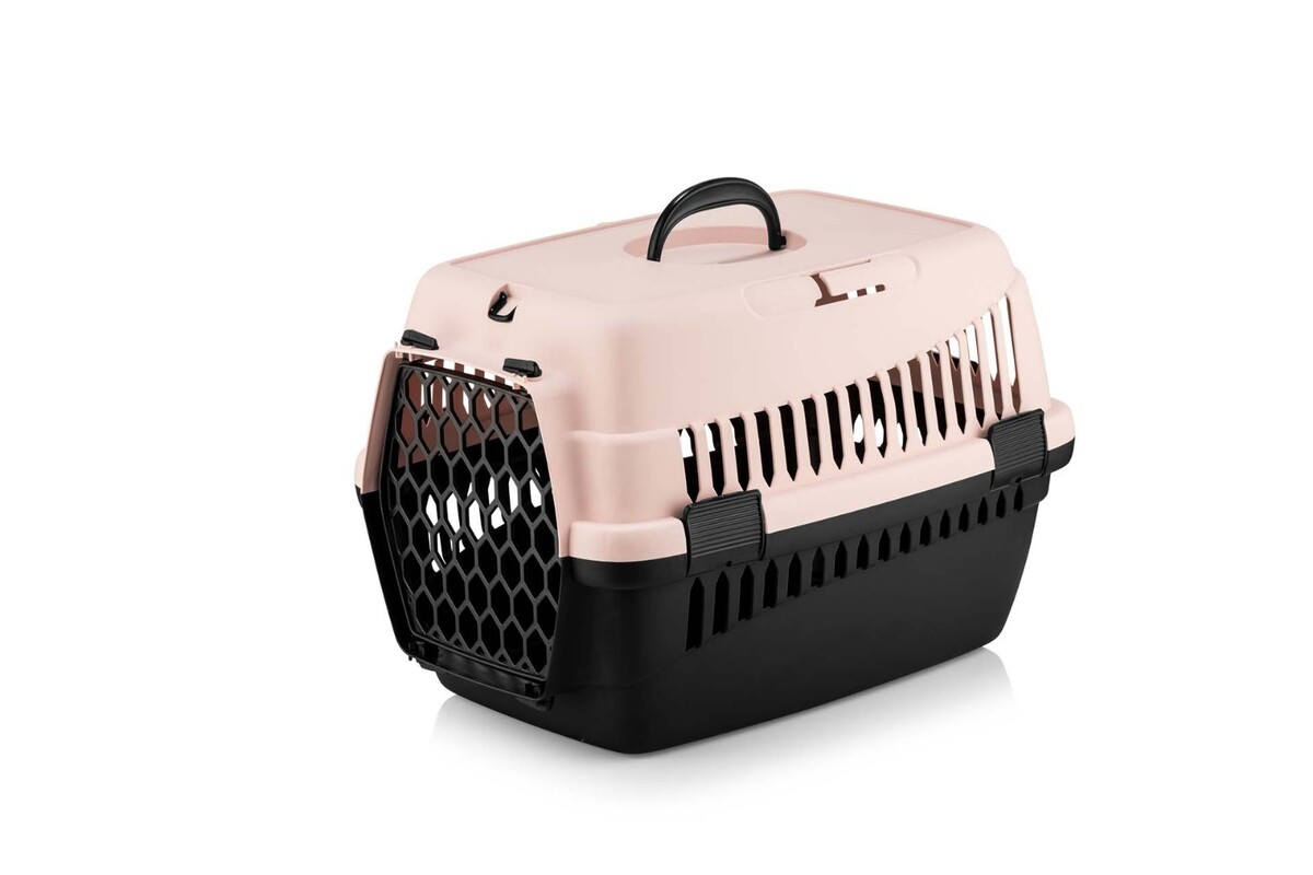 TAŞIMA KABI KÜÇÜK RENKLİ ŞNY 10 LU PAKET 49x35x35.5 - Thumbnail