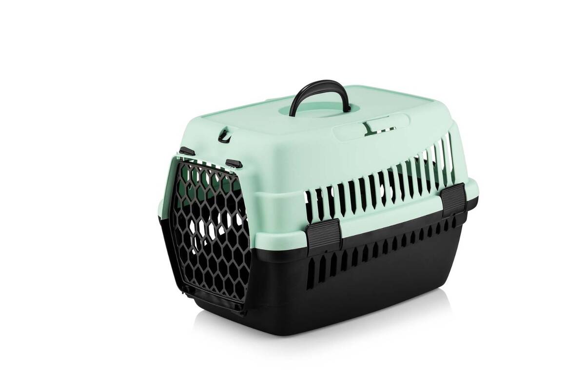 TAŞIMA KABI KÜÇÜK RENKLİ ŞNY 10 LU PAKET 49x35x35.5