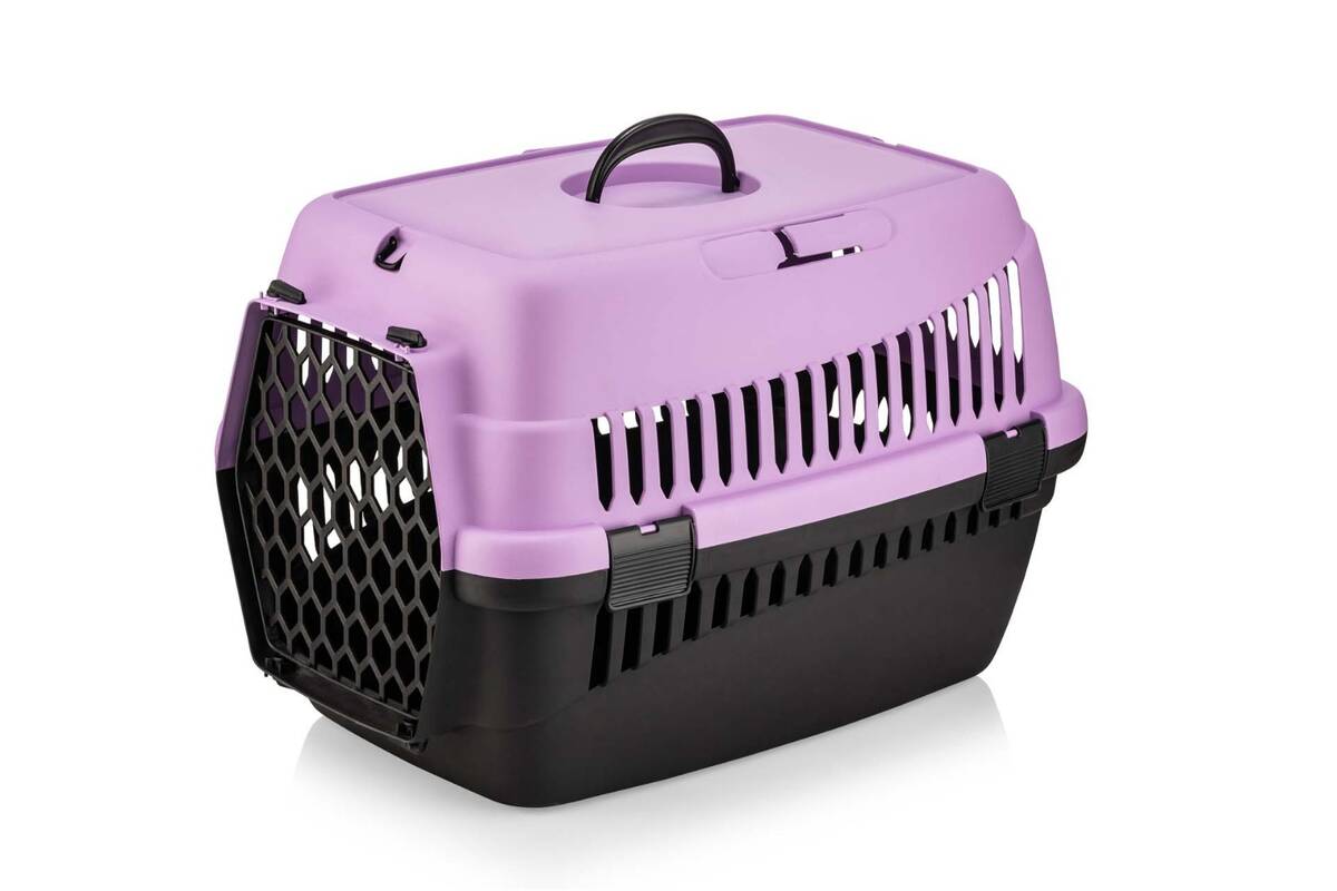 TAŞIMA KABI ORTA RENKLİ ŞNY