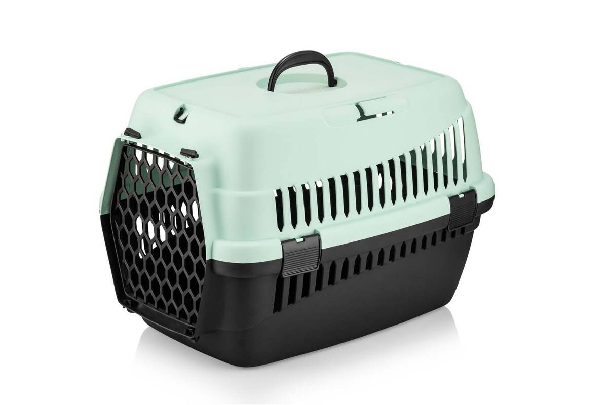 TAŞIMA KABI ORTA RENKLİ ŞNY