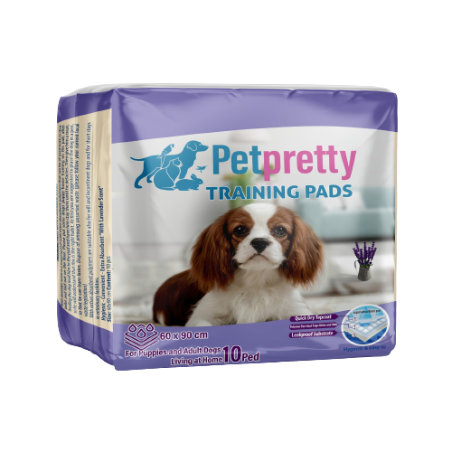 PETPRETTY - TUVALET EĞİTİM PEDİ LAVANTALI 60x90 10'LU