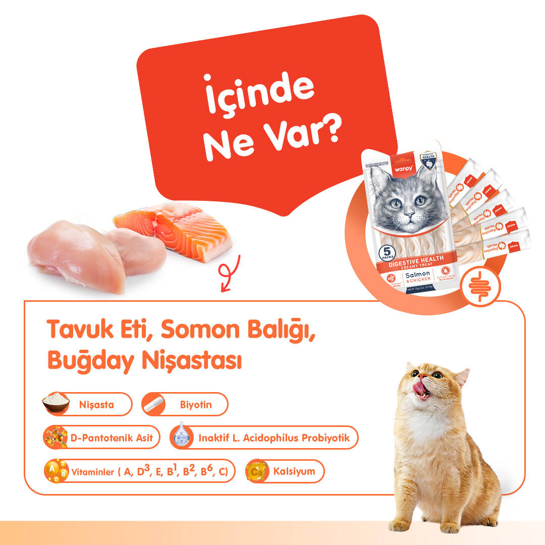 WANPY DİGESTİVE HEALTH SOMON BALIĞI&TAVUK 12'Lİ F.KREMA ÖDÜL 5X14GR