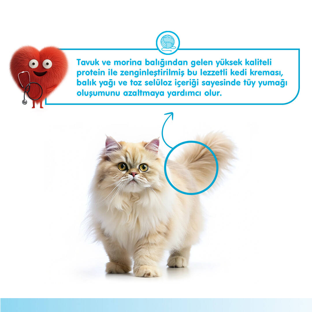 WANPY HAİRBALL CONTROL MORİNA BALIĞI&TAVUK 12'Lİ F.KREMA ÖDÜL 5X14GR