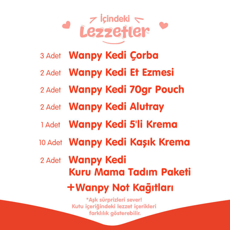 WANPY KALP TEMALI KUTU SETİ KEDİ 1 KUTU