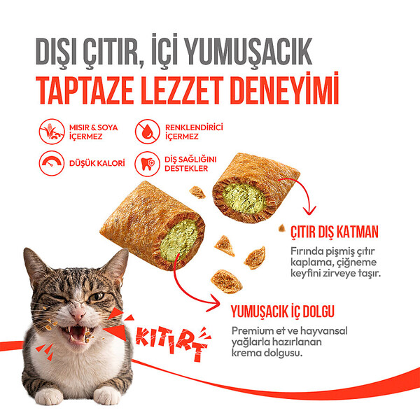 WANPY KEDİ CRUNCH ÖDÜL CATNİPLİ & TAVUKLU 60 G - 10'LU - Thumbnail