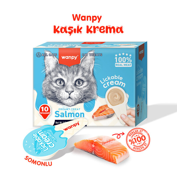 WANPY - WANPY SOMONLU 10*16 GR KAŞIKLI KEDİ ÖDÜL KREMASI