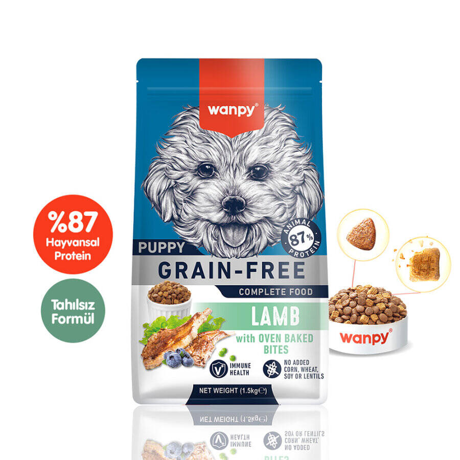 WANPY TAHILSIZ KUZULU YAVRU KÖPEK MAMASI 1,5 KG