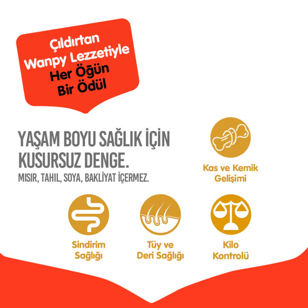WANPY TAHILSIZ SIĞIR ETLİ YETİŞKİN KÖPEK MAMASI 12 KG - Thumbnail