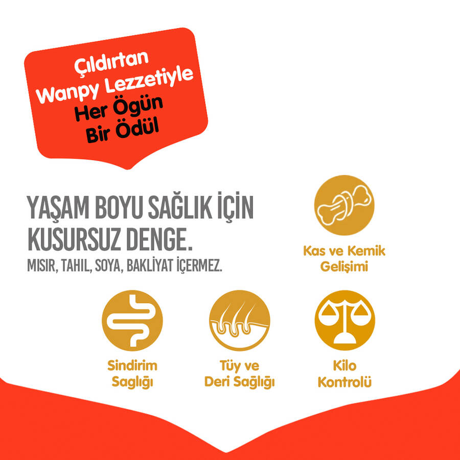 WANPY TAHILSIZ SIĞIR ETLİ YETİŞKİN KÖPEK MAMASI 1,5 KG