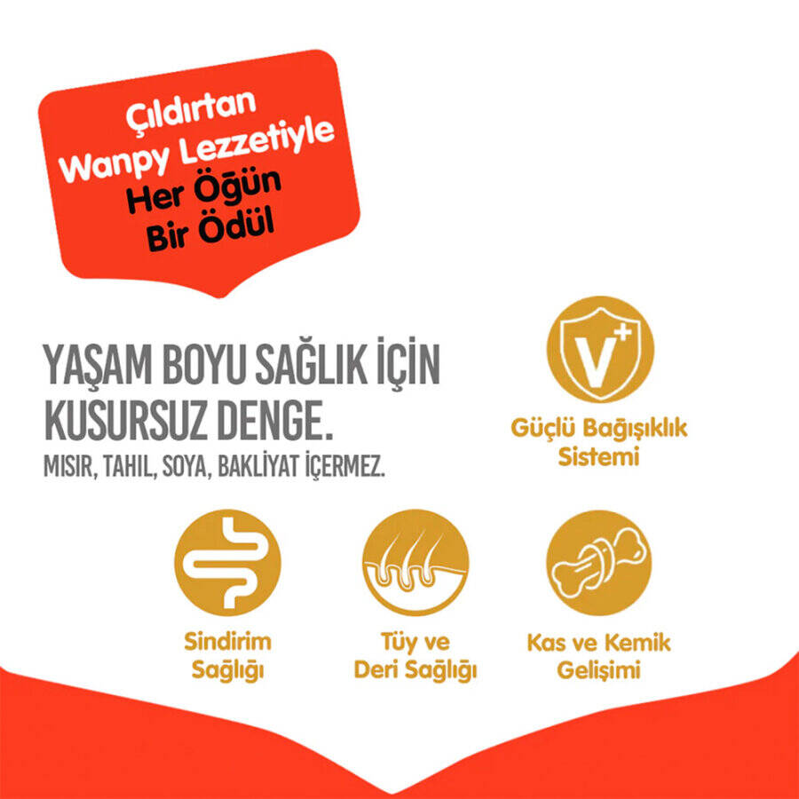 WANPY TAHILSIZ SOMONLU YAVRU KÖPEK MAMASI 1,5 KG