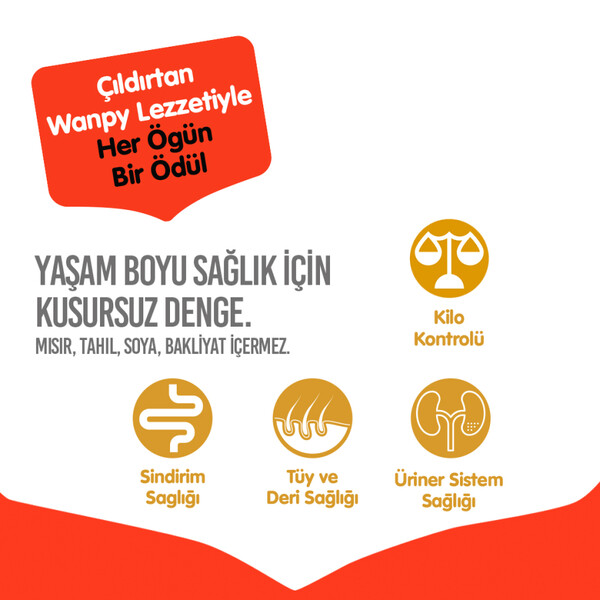 WANPY TAHILSIZ SOMONLU YETİŞKİN KEDİ MAMASI 8 KG - Thumbnail