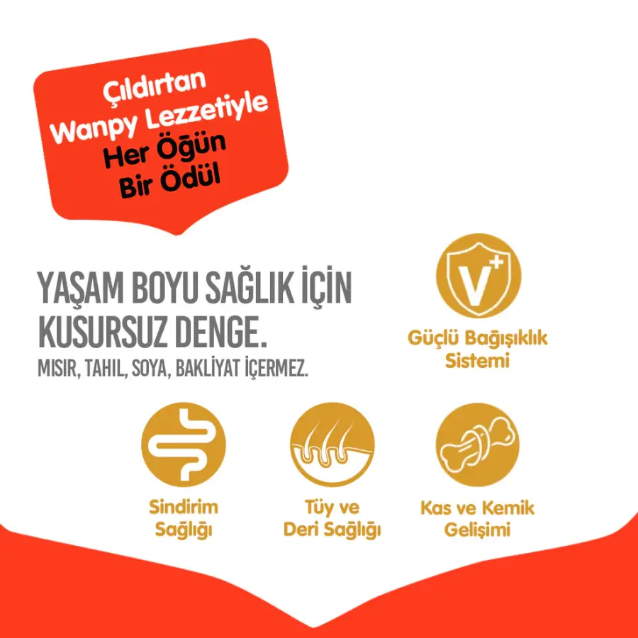 WANPY TAHILSIZ TAVUKLU YETİŞKİN KÖPEK MAMASI 12 KG - Thumbnail