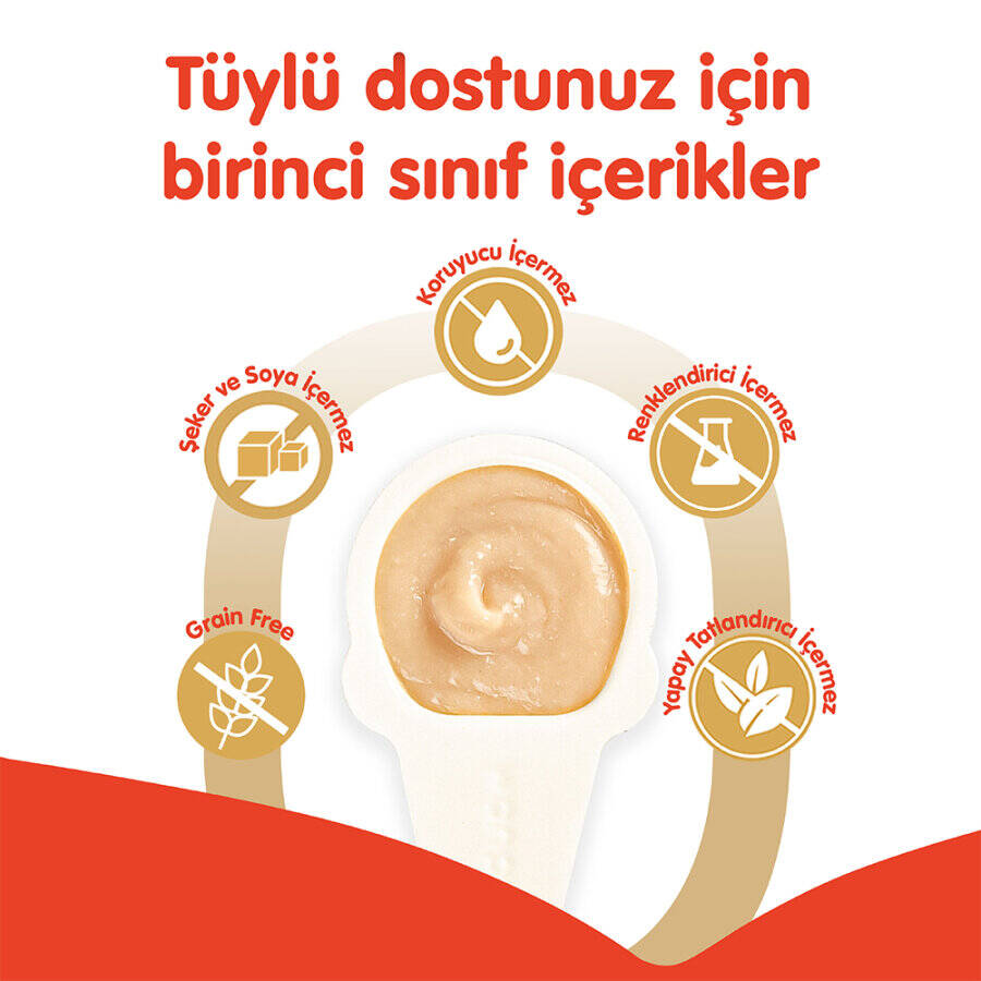 WANPY TAVUKLU 10*16 GR KAŞIKLI KEDİ ÖDÜL KREMASI 