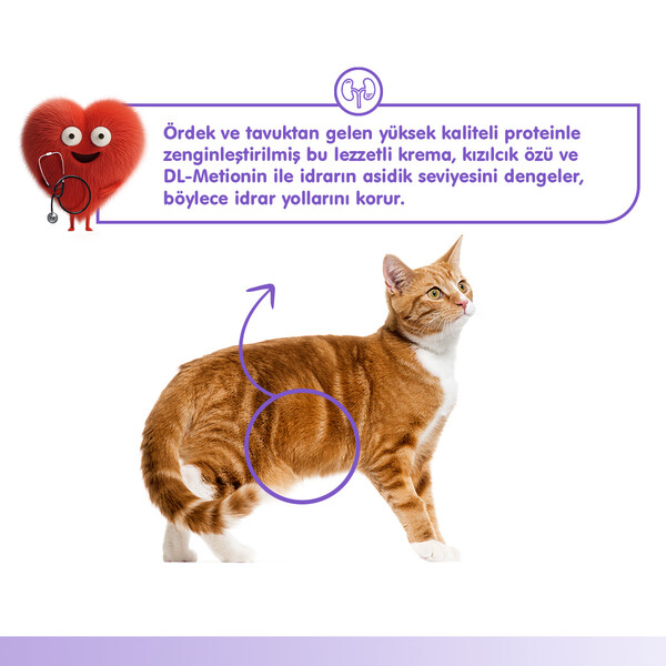 WANPY URINARY CARE ÖRDEK&TAVUK 12'Lİ F.KREMA ÖDÜL 5X14GR - Thumbnail