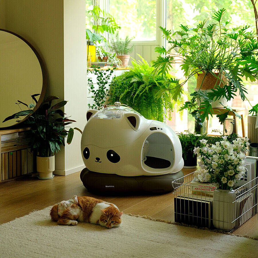 WOOHULOO PRO OTOMATİK KEDİ TUVALETİ PANDA