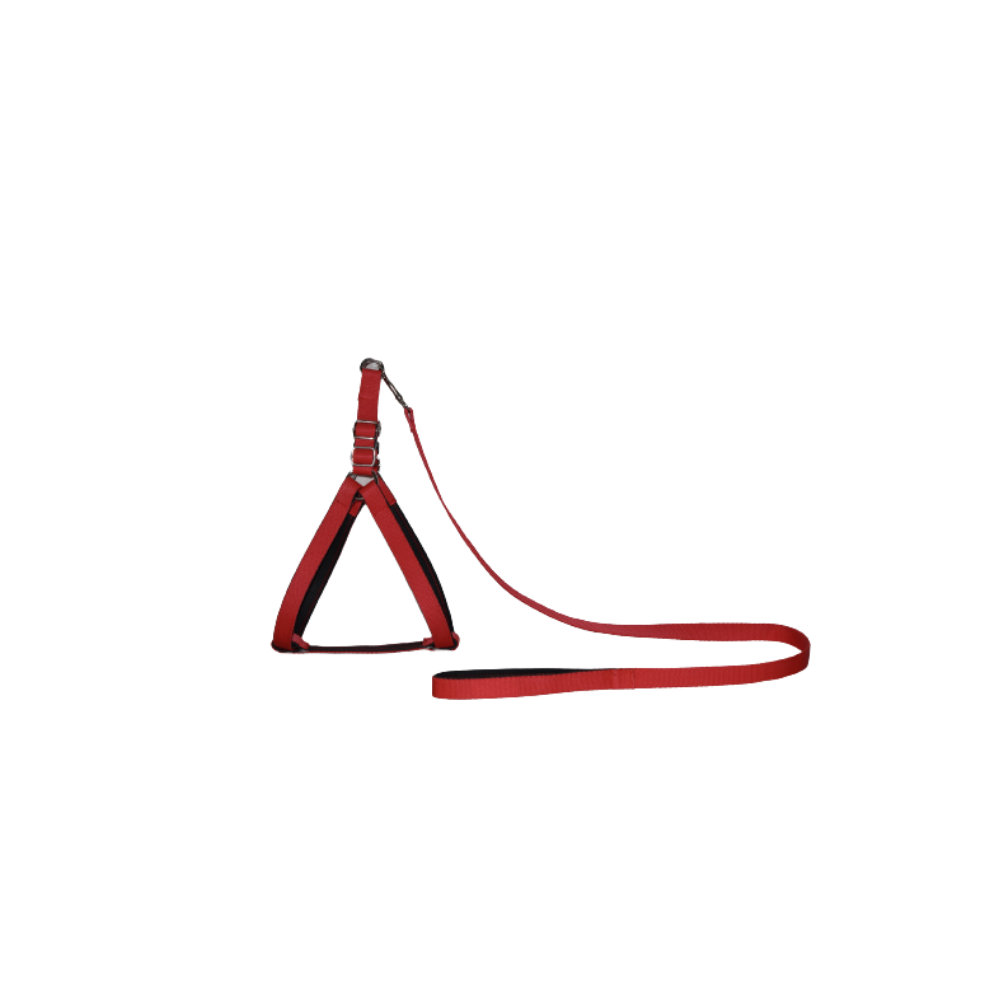 YUM. DOKULU GÖĞÜS TASMA ve GEZDİRME NO:4