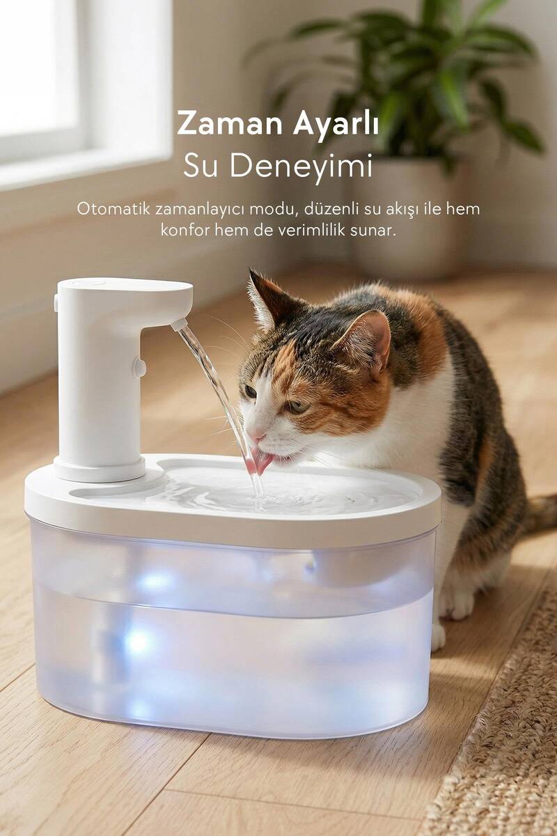 ZAMPA OVAL PET OTOMATİK SU PINARI BATARYALI BEYAZ